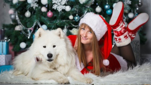 Девушка Снегурочка, лежит на полу с собакой породы хаски, на фоне новогодней елки