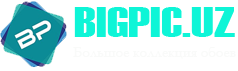 sitename
