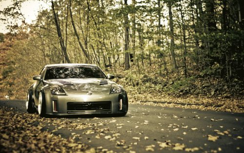 Nissan 350z фотография на лесной дороге