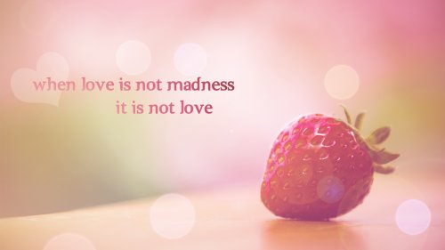 When love is not madness, it is not love / Когда в любви нет безумия, это не любовь