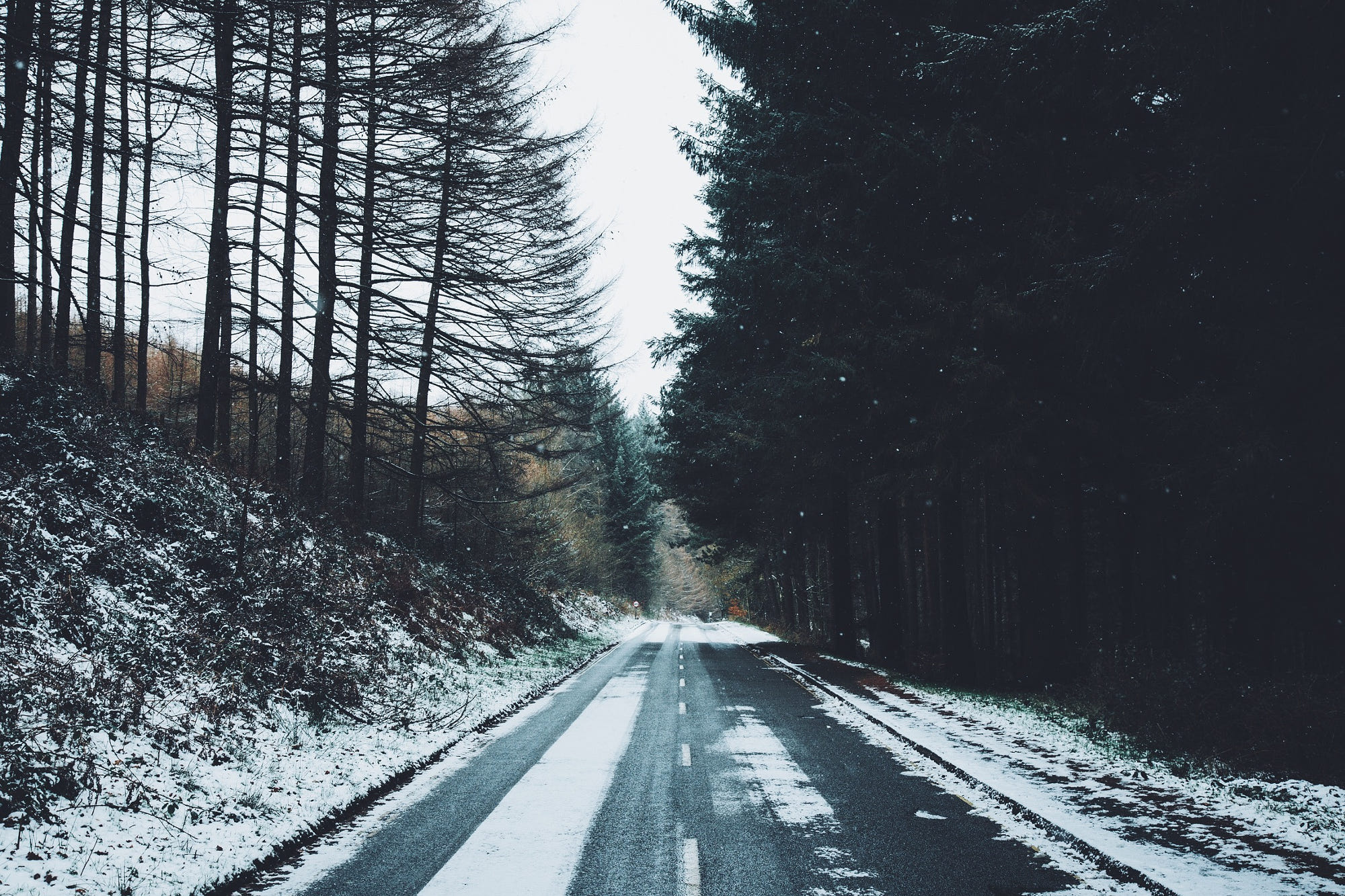 Снег на дороге, по бокам которой растут деревья, фотограф Daniel Casson