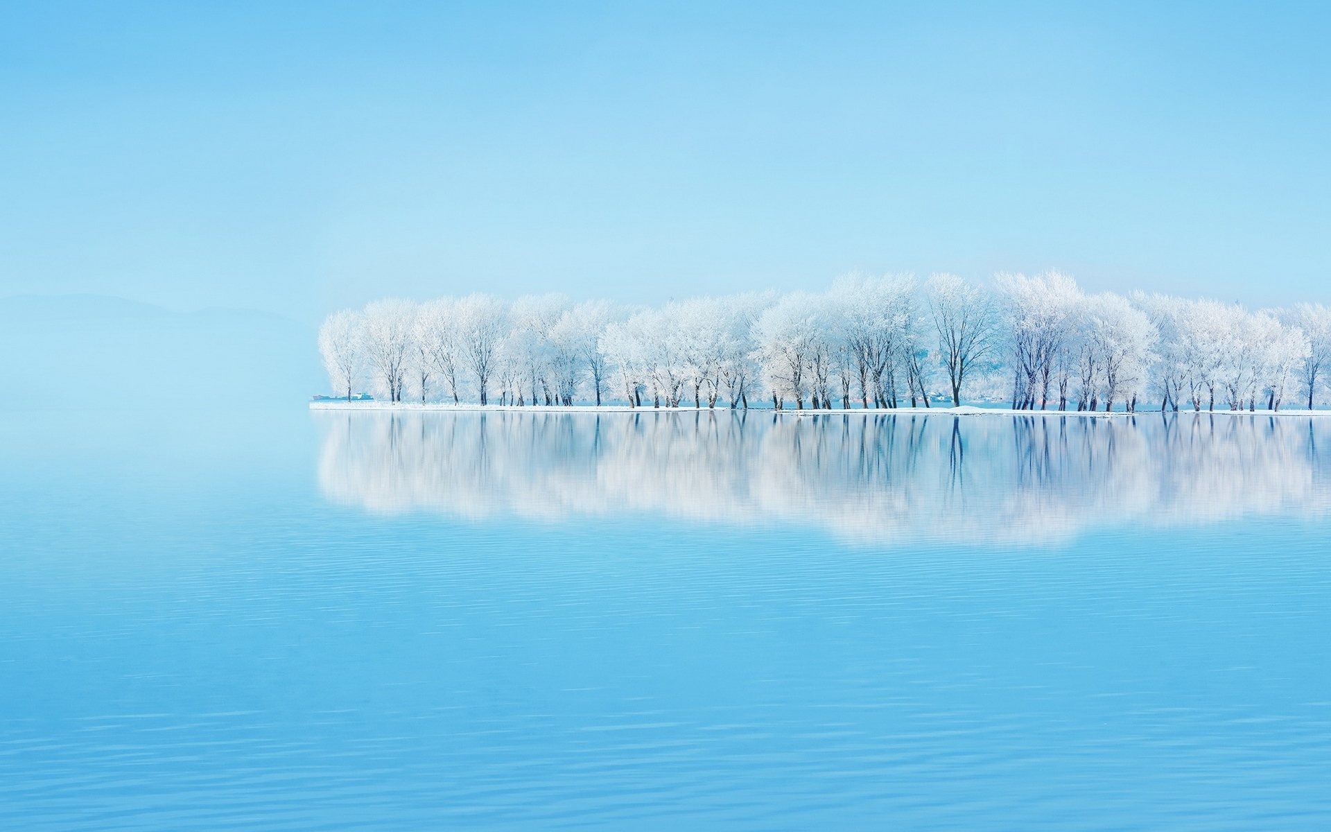 Остров с покрытыми снегом деревьями посреди озера
