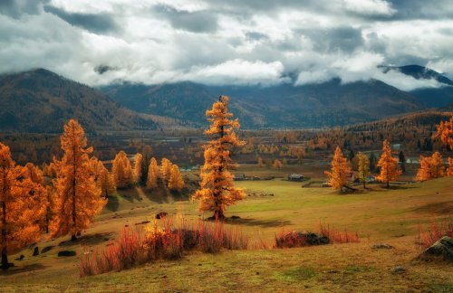 Ярко-оранжевые деревья и красные кусты на зеленом холме, ведущем к долине с постройками, на фоне гор, частично скрытых облаками, осенью