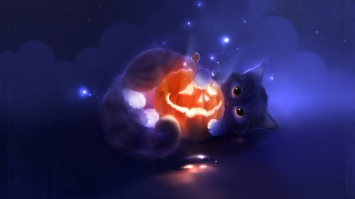 Кот обнимает светящийся светильник Джека, символ Halloween, на фоне темного синего неба со звездами и облаками