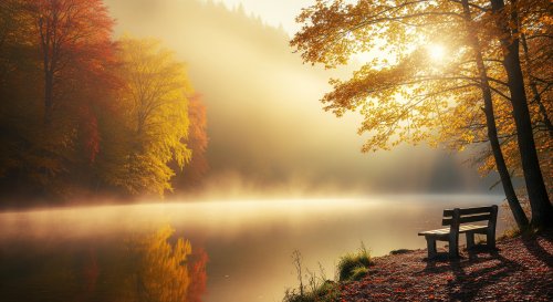 Деревянная скамейка на берегу водоема с опавшими листьями, на фоне осенних деревьев в тумане и яркого солнца, пробивающегося сквозь листву