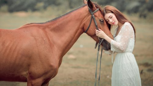 Девушка с распущенными волосами в белом платье позирует рядом с гнедой лошадью на фоне зеленых кустов